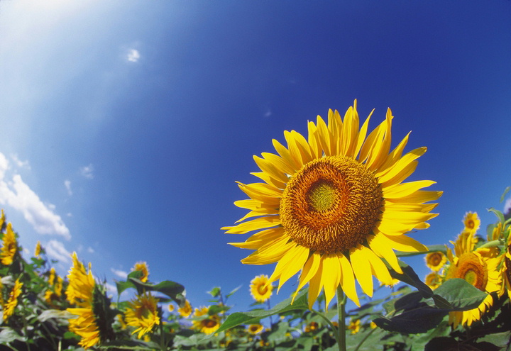 �����񍐎ʐ^